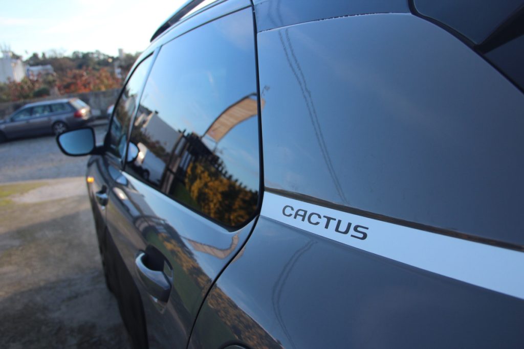 Citroen C4 Cactus 1.2 PureTech /110cv/ SHINE – foto 14
